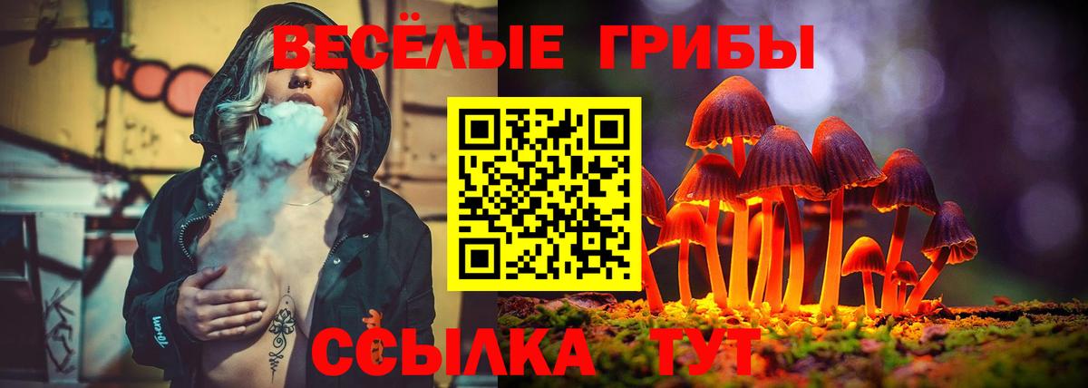 Псилоцибиновые грибы Psilocybe Железногорск
