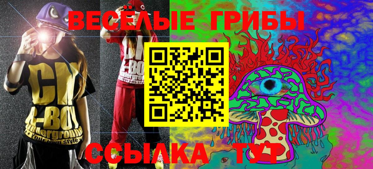 Псилоцибиновые грибы прущие грибы  Вход с VPN  Железногорск 